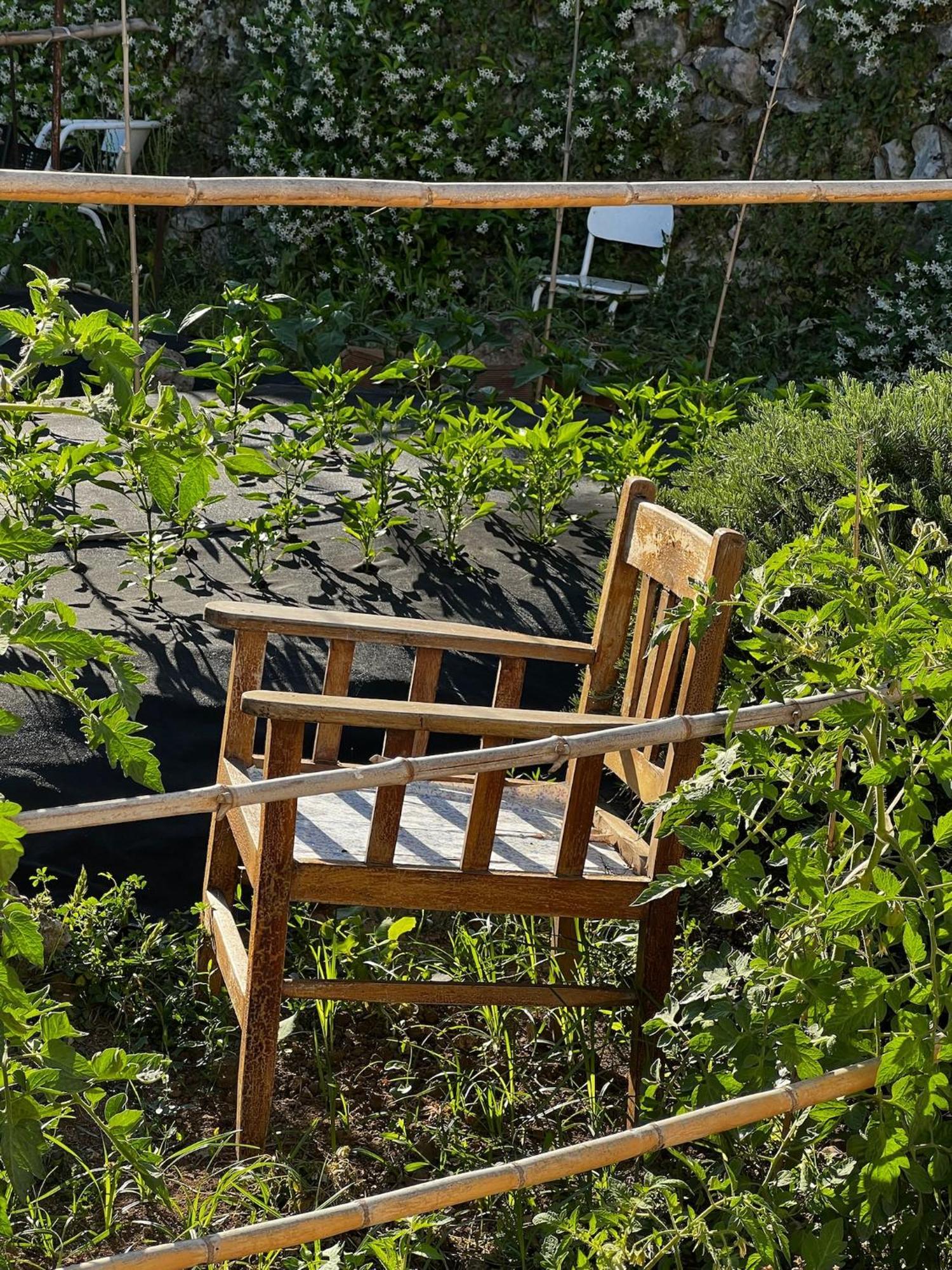 Dimora Storica Villa Pasquale Capri Extérieur photo
